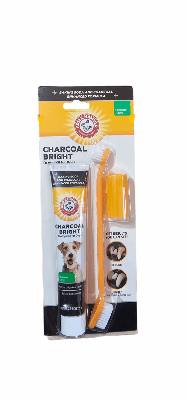 CHARCOAL BRIGHT KIT DENTAL PARA PERRO